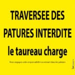 taurau-interdit
