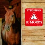 Mise-en-situation-je-mords-triangle