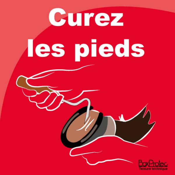 Panneau "Curez les pieds des chevaux"