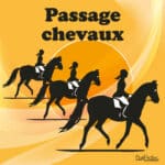 Panneau “Passage de chevaux” - orange