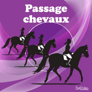 Panneau “Passage de chevaux” - violet