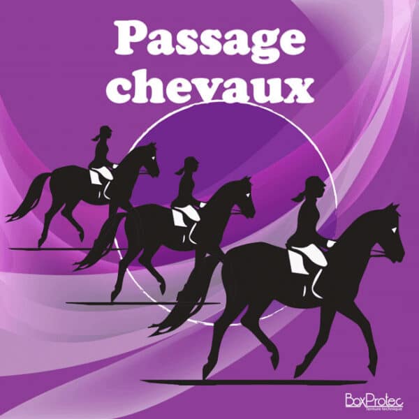 Panneau “Passage de chevaux” - violet