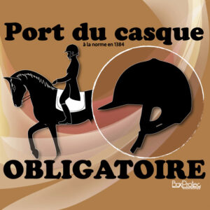 Panneau "Port du casque obligatoire" - Marron