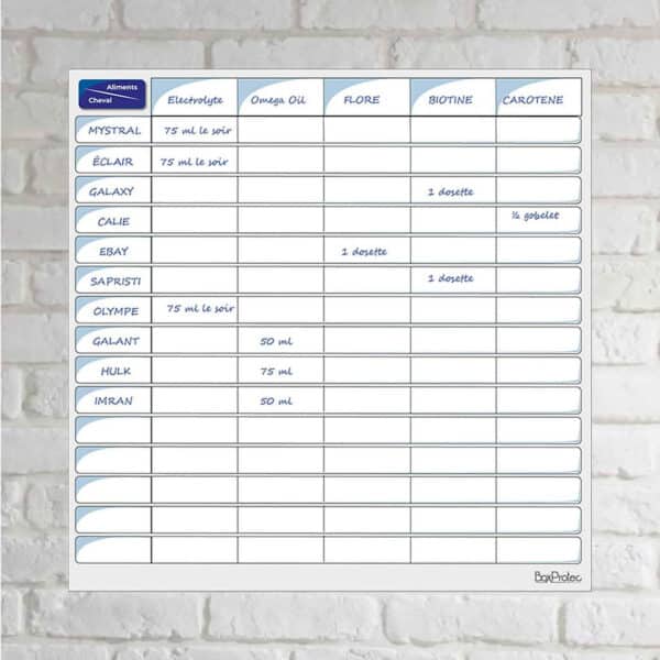 Planning d’alimentation vierge -Bleu