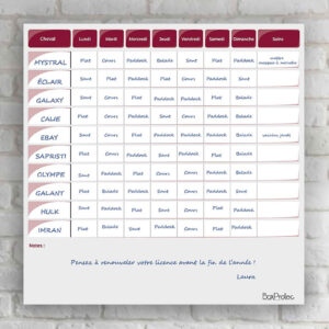 Planning de semaine + notes