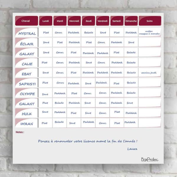 Planning de semaine + notes
