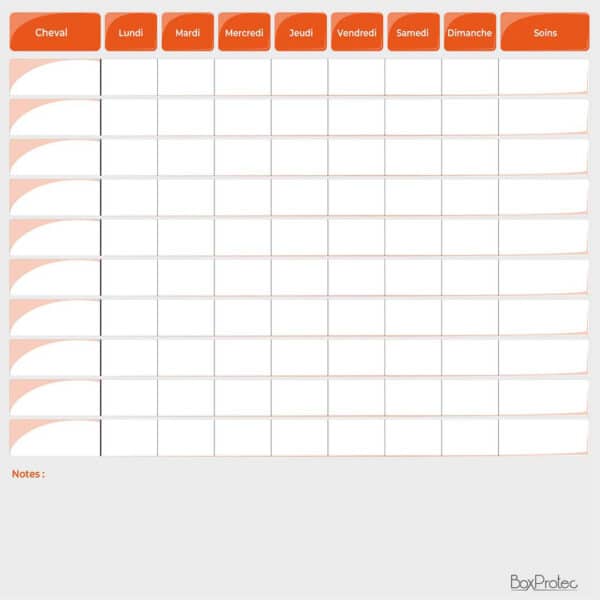 Planning de semaine + notes - Orange