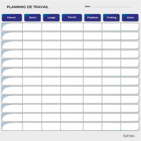 Planning de travail journalier - Bleu