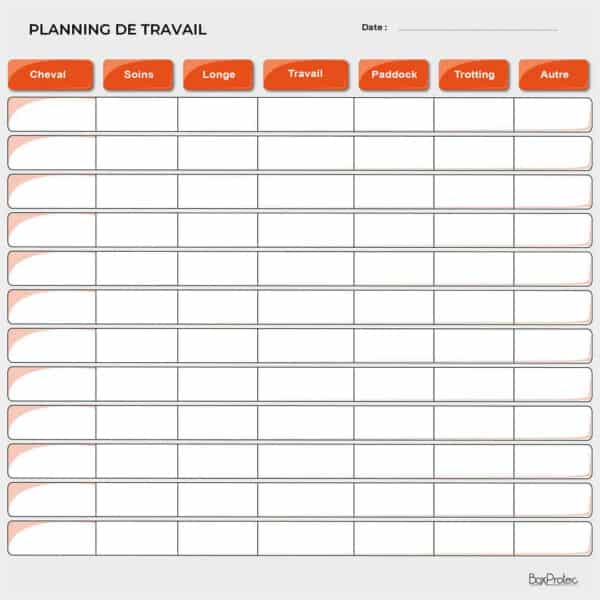 Planning de travail journalier - Orange