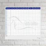 Planning de semaine soins et vaccins