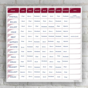 Planning de travail semaine