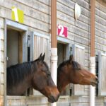 numero-box-ecurie-chevaux