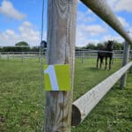 Plaques numéro de box et paddock