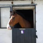 Plaques numéro de box et paddock