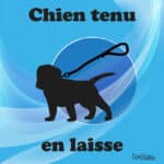 Panneau "Chien tenu en laisse" - Bleu