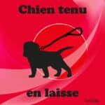 Panneau "Chien tenu en laisse" - Rouge
