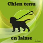 Panneau "Chien tenu en laisse" - Vert