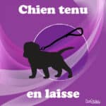 Panneau "Chien tenu en laisse" - Violet
