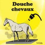 Panneau "Douche chevaux" - jaune