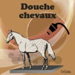 Panneau "Douche chevaux" - marron