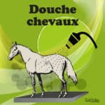 Panneau "Douche chevaux" - vert