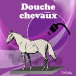 Panneau "Douche chevaux" - violet