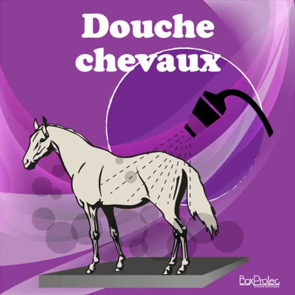 Panneau "Douche chevaux" - violet