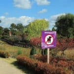 Panneau "Interdit au chien"