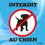Panneau "Interdit au chien" - bleu