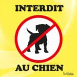 Panneau "Interdit au chien" - jaune