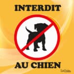 Panneau "Interdit au chien" - orange