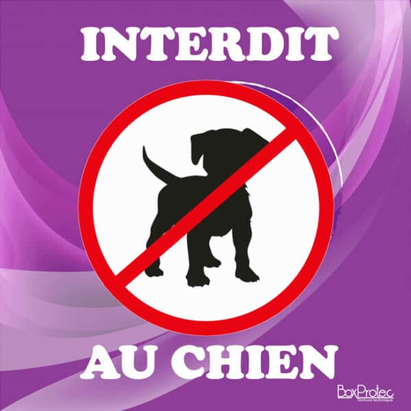 Panneau "Interdit au chien" - violet
