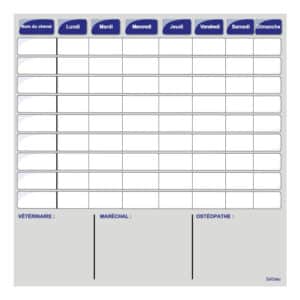 Planning de semaine + notes vétérinaires - Bleu
