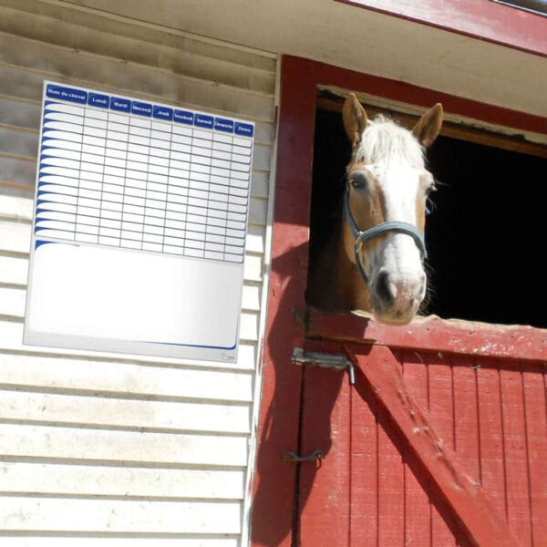 Planning journalier et divers 80 x 100 cm Planning journalier et divers 80 x 100 cm