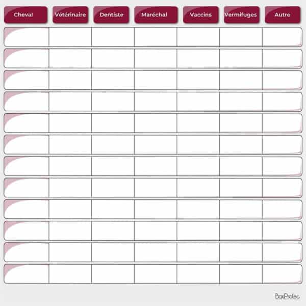 Planning de soins - Bordeaux