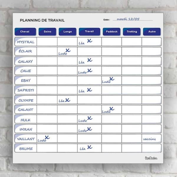 Planning de travail journalier - Bleu