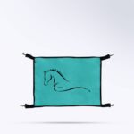 Porte de box - turquoise