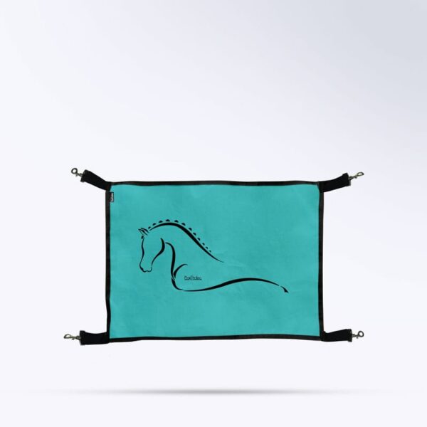 Porte de box - turquoise Porte de box - turquoise