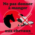 Panneau "Ne pas donner à manger aux chevaux" - Rouge