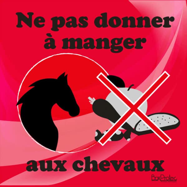 Panneau "Ne pas donner à manger aux chevaux" - Rouge