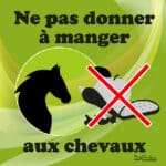 Panneau "Ne pas donner à manger aux chevaux" - Vert