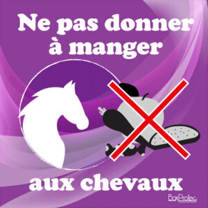 Panneau "Ne pas donner à manger aux chevaux" - Violet