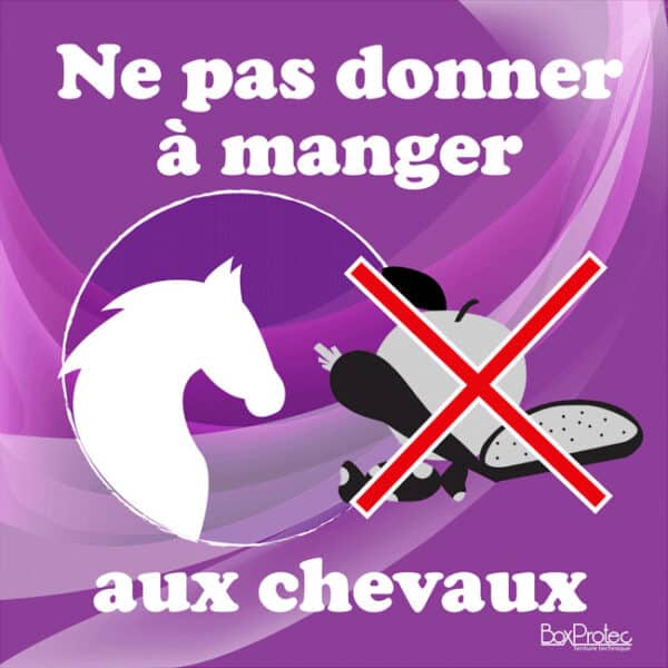 Panneau "Ne pas donner à manger aux chevaux" - Violet