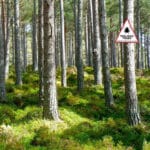 Panneau "Vigilance tiques"