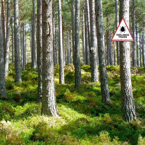 Panneau "Vigilance tiques"