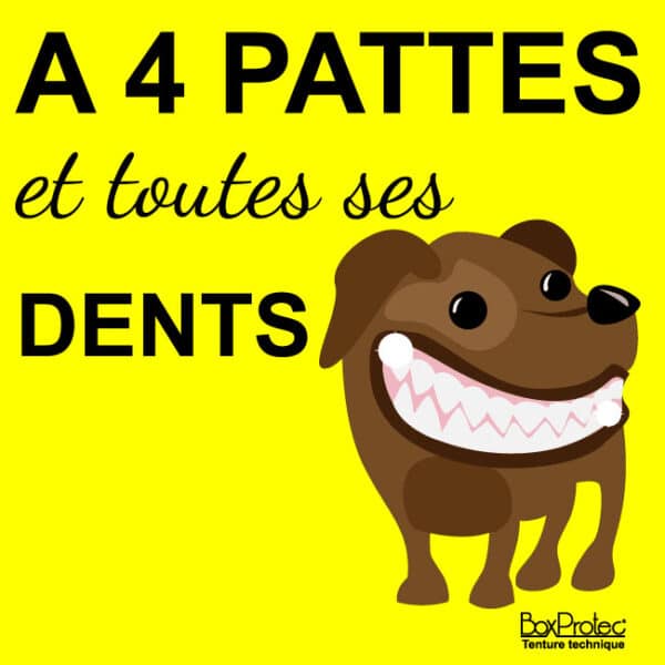Panneau “Attention au chien"