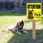 Panneau “Attention au chien"