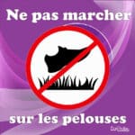 Panneau "Ne pas marcher sur les pelouses" - violet