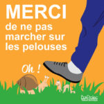 Panneau "Ne pas marcher sur les pelouses" - Humour
