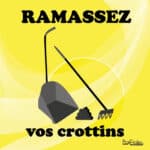 Panneau "Ramassez vos crottins" - Jaune